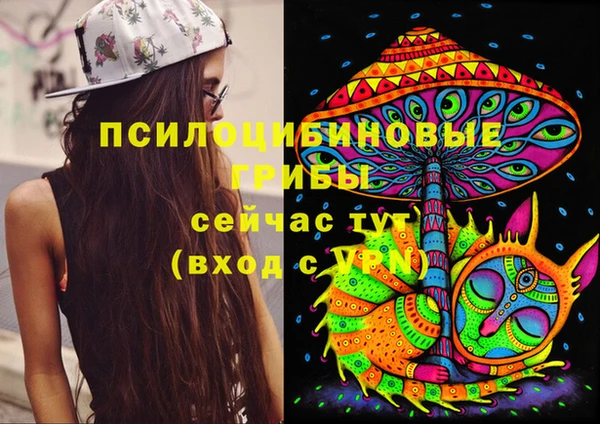 МДПВ Волоколамск
