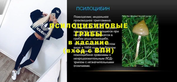 кокс Вяземский